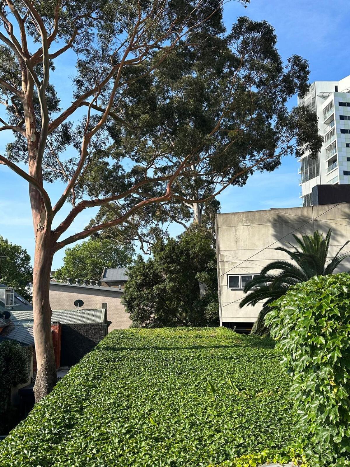 Modern Terrace House * Sydney